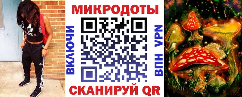 как найти закладки  Асино  Псилоцибиновые грибы Cubensis 